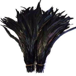 ขนไก่ดำสำหรับงานคาร์นิวัล ยาว 40-45 ซม. - Product Image 1