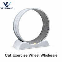 Roue d'exercice pour chat en plastique gris, motif patte segmenté, tapis silencieux, jouet de course, 2 tailles de base, 7 kg