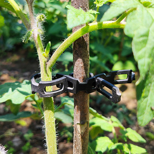 <b>Plastic</b> Interlocking Plant Support Tie,Made in China - Product Image 5