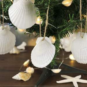 16PCS Natural Sea <strong>Shells</strong> 2.5"-3.5" Perforation Scallop <strong>Shells</strong> with Rope - Product Image 3