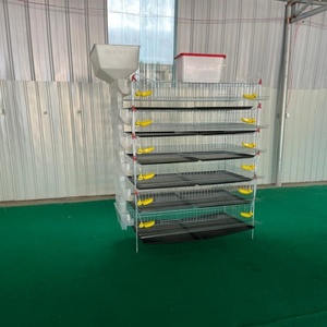 Poulaillers commerciaux <span class=keywords><strong>de</strong></span> grande capacité pour la production d'œufs, 330-350 <span class=keywords><strong>cailles</strong></span> - Product Image 3