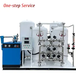 Vendita calda di alta qualità di grande tipo di produzione di azoto saldatrici alimentate a Gas generatore di azoto psa N2 impianto di gas per lega