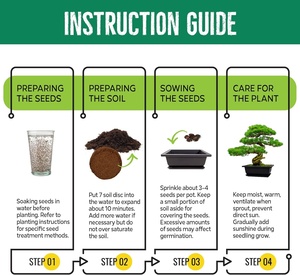 Kit de Inicio para Bonsái, Set Japonés de Bonsái con Árbol, 7 Herramientas y Macetas para el Hogar u Oficina, Regalo para Amantes de las Plantas, para Hombres y Mujeres - Product Image 4