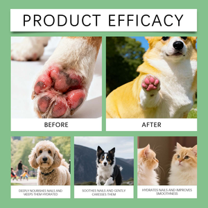 Bálsamo para Patas de Mascotas de Marca Privada OEM, Crema Hidratante para Patas de Perros y Gatos con Aceite de Coco y Manteca de Karité, Cuidado y Aseo - Product Image 6