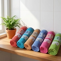 Custom Embroidered Terry Cotton Bath Towels 300 GSM 70-140cm | Factory Direct OEM Supply