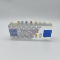 Presse-papiers personnalisé en acrylique Lucite avec capsule, bloc de présentation pharmaceutique pour cadeau promotionnel médical