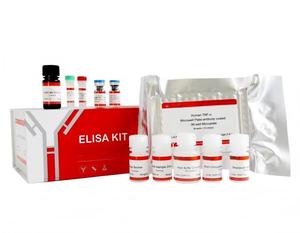 Kit de Prueba ELISA Humana, Panel de Análisis Múltiple para la Detección de Citocinas, Hormonas y Proteínas en Suero y Plasma para Uso en Investigación - Product Image 2