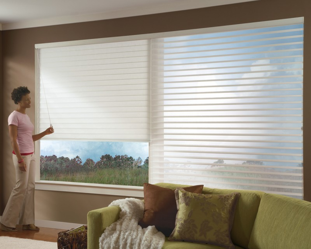 Superiority Quality Built-In Privacy Blinds Window Shade Blackout Energy Efficiency Electric Smart Blinds Remote Control Dual