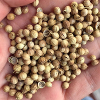 Bumbu pedas panas bumbu segar biji ketumbar seluruh bentuk granule bersertifikat Halal proses kering termasuk lada adas garam AD