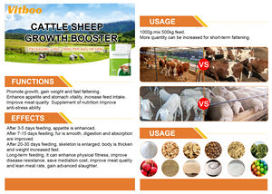 Meilleur <span class=keywords><strong>prix</strong></span> d'usine OEM ODM additifs alimentaires d'engraissement pour ruminants améliorent le poids corporel favorisent la croissance pour les bovins veaux chèvres - Product Image 3