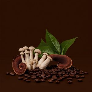 Cápsulas K-Cup de café de setas de muestra gratis, 16 unidades | Mezcla de 14 setas con L-teanina y Alpha GPC <span class=keywords><strong>para</strong></span> enfoque y salud intestinal - Product Image 2