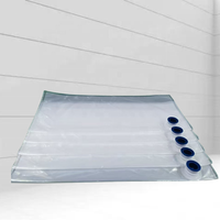 Sac BIB Aseptique Transparent sur Mesure 3L 5L 10L 20L avec Bouchon Stérile Transparent pour l'Emballage de Liquides, Œufs, Boissons et Huiles