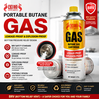 Bouteille de gaz butane antidéflagrante 227g, conception BVR, cartouche de gaz portable avec soupape de sécurité inférieure pour cuisine extérieure