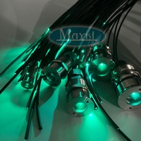 Cable de Fibra Óptica de Alta Calidad PMMA con Extremo Luminoso, Mononúcleo, Impermeable, con Cubierta Negra para Techo de Cielo Estrellado y Piscina