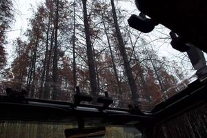 Techo Solar de Repuesto de Alta Calidad, Material PC, Marca Star, Diseño Cielo Estrellado, Fácil Instalación, para Jeep <span class=keywords><strong>Wrangler</strong></span> JK, Resistente al Calor - Product Image 2