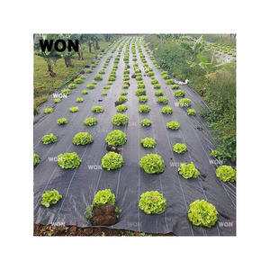 Black Anti-grass Cloth For Fruit Ree AgriculTural Weed Mat With UV Protective Grass Mat For Agriculture Weaved Weed Mat