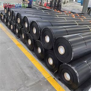 Geomembrana de PEAD de Alta Resistência Impermeável para Aquicultura (Peixes, Camarões, Lagostins) - Resistente a Raios UV - Fabricante de Geomembranas - Product Image 6