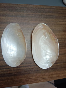 Coquillage de palourde naturelle géante 10-11 "nacre demi-coquille nautique côtier décoratif bol <span class=keywords><strong>plat</strong></span> plateau - Product Image 6