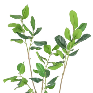Arbre artificiel Oh Arts de qualité supérieure, 200 cm, pour extérieur, Ficus artificiel, Ficus <span class=keywords><strong>Audrey</strong></span>, pour la décoration de la maison, de l'<span class=keywords><strong>h</strong></span>ôtel, du magasin - Product Image 4