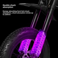 Véhicule tout-terrain électrique 48V 3000W avec moteur central, batterie au lithium 30Ah, VTT haute vitesse