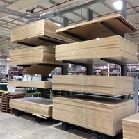 Rayonnage en porte-à-faux de support de stockage résistant pour le support en porte-à-faux latéral de double feuille