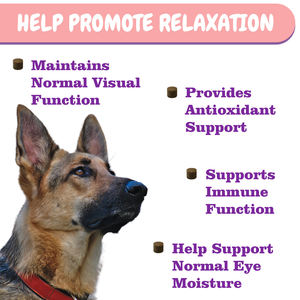 OEM/ODM Suplemento suave para masticar perros Prevención de manchas de lágrimas y Protector de humedad ocular Removedor del sistema inmunológico Medicina para mascotas - Product Image 6