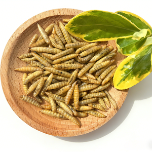 Larvas Secas de Mosca Soldado Negra a Granel, Alimento Seco de Gusanos de Fábrica Estable para Ganado, Aves de Corral, Acuarios y Mascotas - Product Image 5