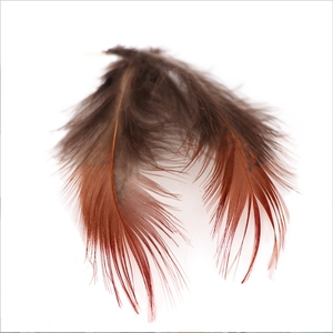Plume de <span class=keywords><strong>faisan</strong></span> doré rouge de 4 à 8 cm pour les modèles de mouches sèches, nymphes et streamers, pour la pêche à la mouche en truite en ruisseau, lac, eau faiblement lumineuse et boueuse - Product Image 3