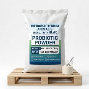 Bifidobacterium animalis subsp. Poudre Probiotique Lactis BLa80 600 Milliards UFC/g – Matière Première Probiotique Haute Puissance - Product Image 1