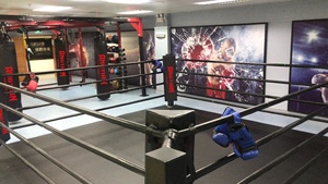 Usine vend 3m * 3m mini ring de boxe extérieur pliant pour enfants/ring de boxe mobile portable pour enfants compétition extérieure - Product Image 5