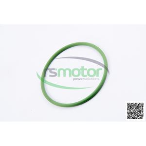 Conducteurs de moteur d'origine RS-01172126 OEM O-seal MWM - Product Image 3