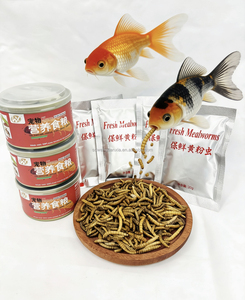 Vers de farine d'azote de haute qualité - Idéal pour le dressage des animaux de compagnie et les friandises quotidiennes - Product Image 6