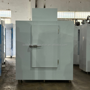 Solid Door Outdoor 700L Fan Cooling Digital Control Customizable Color Ice Storage <b>Freezer</b> - Product Image 1