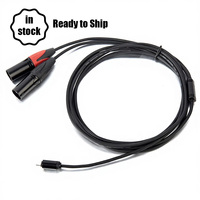 Câble de microphone DC007 Yinyu 2M Type C vers 2 XLR mâles pour studio professionnel et enregistrement sonore en direct