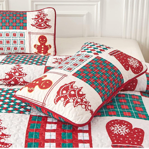 OEKO-TEX Bộ Đồ Giường Bộ Chống-Đóng Cọc Hai Bên Phổ Không Thấm Nước Giáng Sinh 2 Vỏ Gối Mền Bộ Đồ Giường Khăn Trải Giường Bộ - Product Image 6