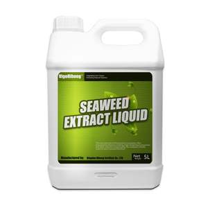 Engrais organique <span class=keywords><strong>Ascophyllum</strong></span> <span class=keywords><strong>Nodosum</strong></span> Liquide de silicium à libération lente pour une croissance améliorée des plantes - Product Image 2