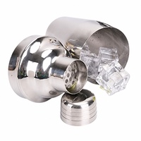 Ensemble de shaker à cocktails en acier inoxydable 9 pièces avec doseur, passoire, pilon, becs verseurs, kit de barman professionnel