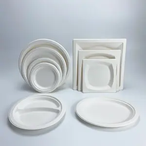 White Bagasse Wedding Birthday Plate Super Disposable Square Bagasse Plate Disposable