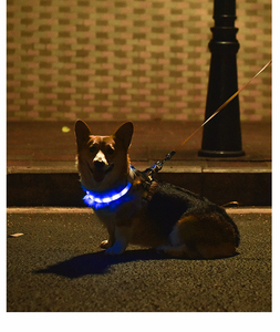 Collier lumineux LED pour animaux de compagnie, rechargeable par USB, pour la promenade en extérieur des chiens, collier anti-perte - Product Image 3