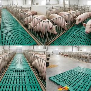 <strong>Turnkey</strong> Solution Industrial Grade Leakage Dung Plate <strong>Pig</strong> Leak Dung Board Livestock <strong>Farming</strong> Solution for Food Animal Management - Product Image 1