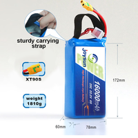 Batterie UAV à décharge élevée Joysun 6S 22.2V LiCoO2 Lipo, plusieurs options de capacité, longue durée de vie, batterie de drone OEM