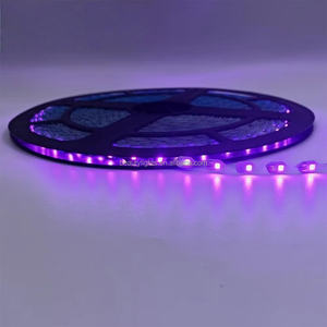 Fournisseurs de bandes LED Bande lumineuse LED RGB 3000K 4000K 6000K 12000K DC 12V Bande lumineuse LED pour salon Plafond intérieur Lumière d'armoire - Product Image 2