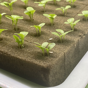Cubos de Espuma Fenólica Ligera para Cultivo Hidropónico con Alto Espacio de Poros, Raíces sin Tierra para Plantas de Hierbas, Tamaño Pequeño - Product Image 2