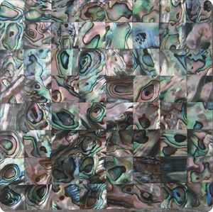 Bào Ngư Tự Nhiên Mẹ Của Ngọc Trai Khảm Vỏ/Trang Trí Tường Gạch/Hồ Bơi Khảm - Product Image 5