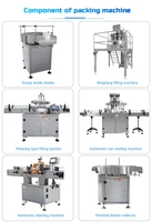Machine de remplissage automatique de granulés Machine de remplissage de bocaux en plastique PET pour bouteilles, chats, chiens, snacks, biscuits, aliments pour animaux domestiques