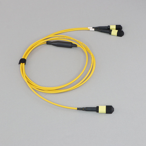 <span class=keywords><strong>Mpo</strong></span> 16F -2 * 8f <span class=keywords><strong>MTP</strong></span>/<span class=keywords><strong>MPO</strong></span> Breakout vá dây Singlemode SM APC mm OM3 OM4 <span class=keywords><strong>MTP</strong></span> <span class=keywords><strong>MPO</strong></span> 16 lõi sợi thân cáp - Product Image 6