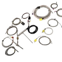 Sonde de thermocouple de type MI en acier inoxydable SS304, type K, 191