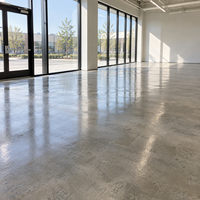 Apprêt de sol pour la maison, couche de base pour la rénovation, adhérence renforcée, séchage rapide, faible teneur en COV, résistant à l'humidité, OEM, vente en gros, fourniture personnalisée