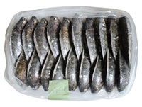 Tilapia Congelada Nile Poisson Congel para la Venta, Pescado Fresco Vivo, Tilapia para la Venta a Precio Mayorista