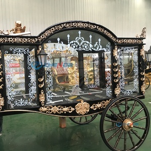 Top Ranking Funeral Hearse Manufacturer /Golden Cross Electric Horse Hearse/Luxury Hearse Carriage - Product Image 5